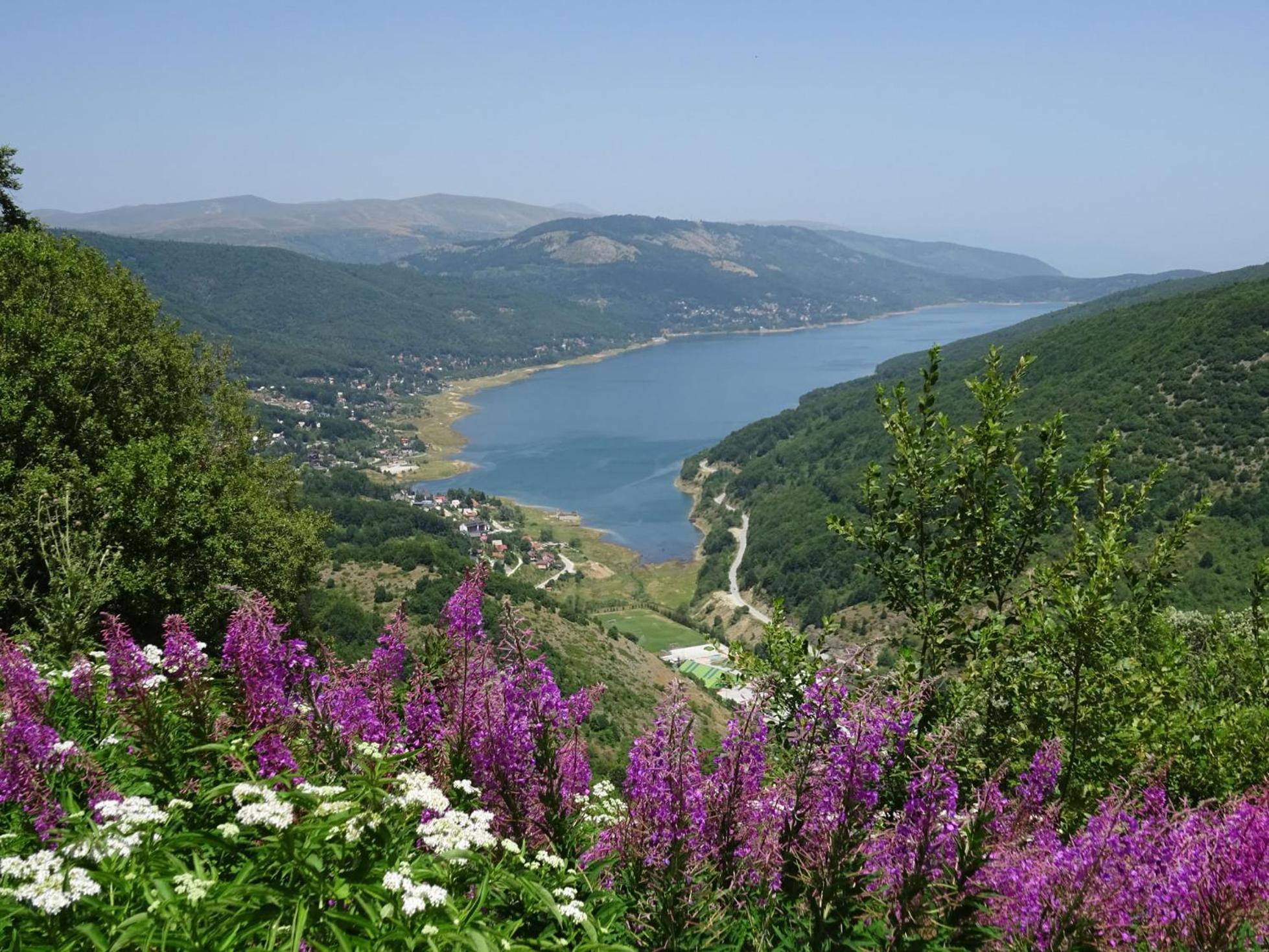 Forest View Apartment Mavrovo Eksteriør billede