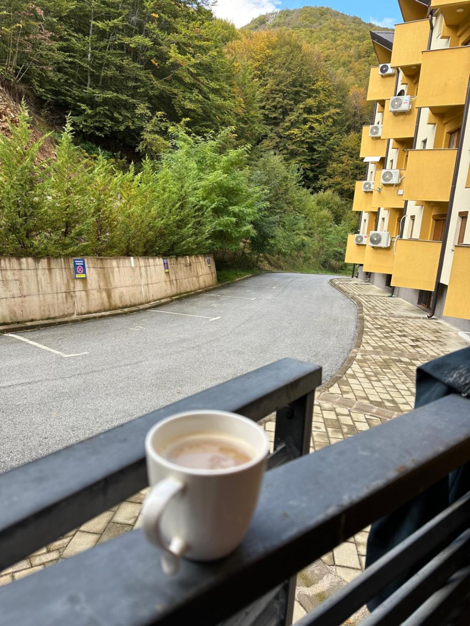 Forest View Apartment Mavrovo Eksteriør billede