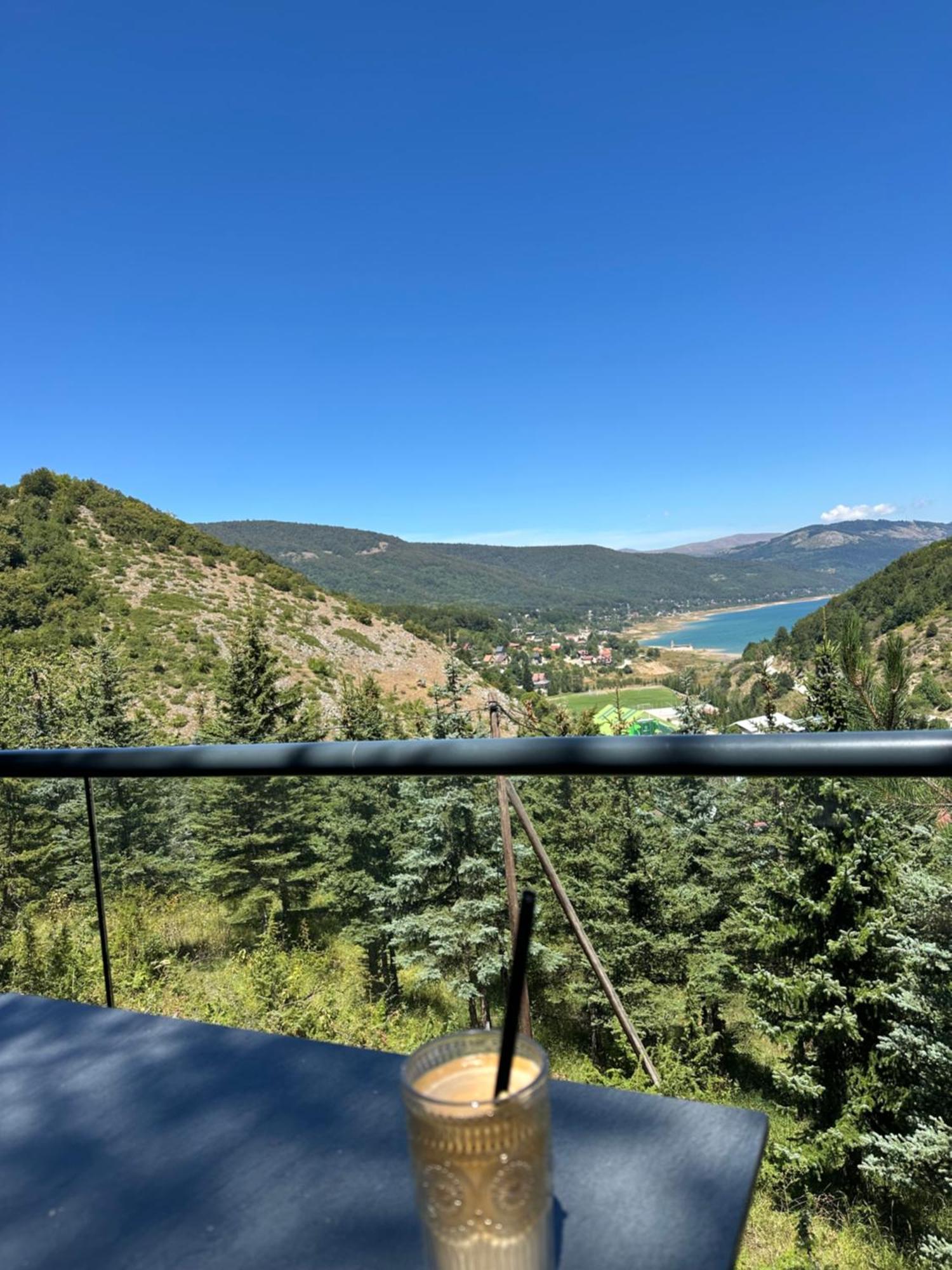 Forest View Apartment Mavrovo Eksteriør billede