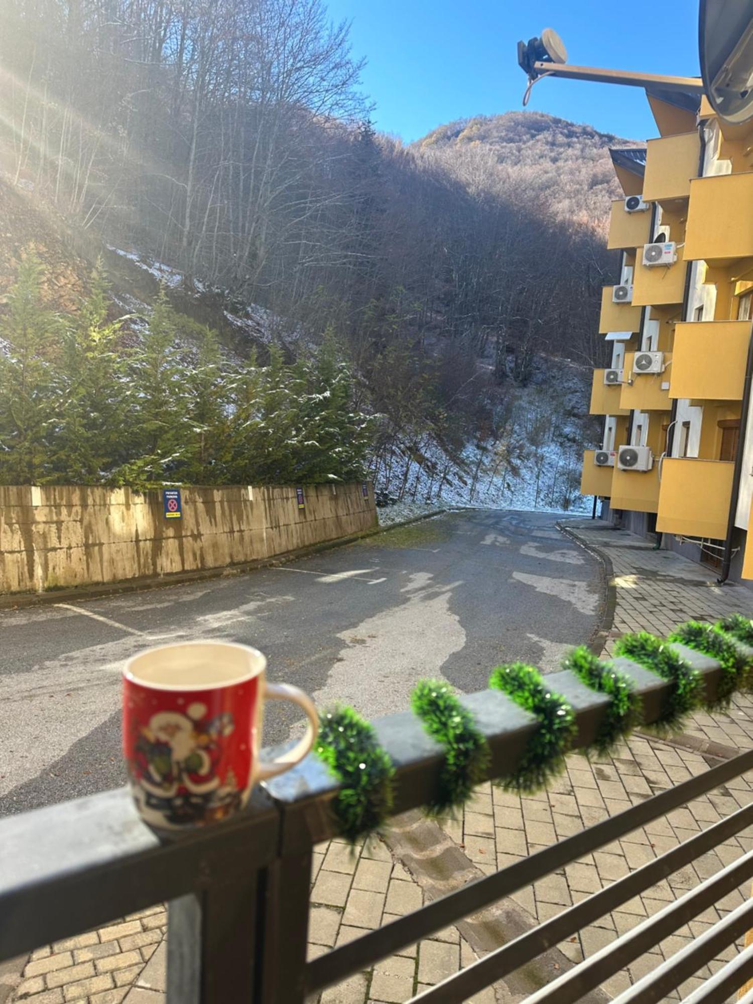 Forest View Apartment Mavrovo Eksteriør billede